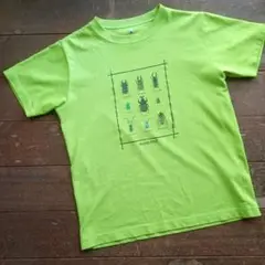 mont-bell 昆虫デザイン Tシャツ 150