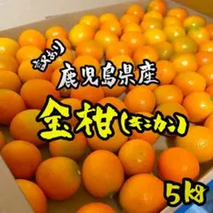 【鹿児島県産】キンカン 5kg 金柑 送料無料c