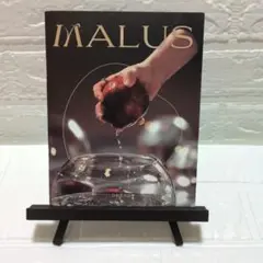 ✨新品✨ONEUS MALUS ソホ