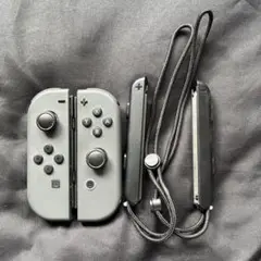 Nintendo Switch Joy-Con グレー ストラップ付き