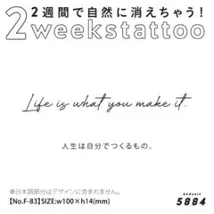 2週間で消える♡ジャグアタトゥーシール