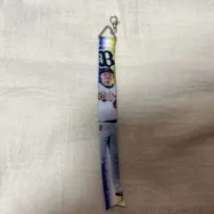 オリックス　フォトボンフィン　茶野篤政