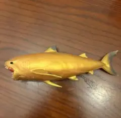 メガロドン　金　非売品 シャークアタック　&co デアゴスティーニ　アンドコ