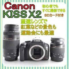 Item thumbnail for item 19562f89-2a60-4d24-ace8-f9f89a4bc3e6