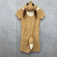タグ付 新品未使用 ポケットモンスター イーブイ 着ぐるみ M 薄茶色