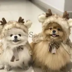 Item thumbnail for item b2dc8602-a8c9-4505-a97f-1a63cd3301d4