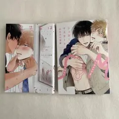シュガーとマスタード/小泉先生はみだされたくない
