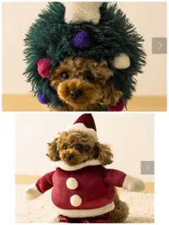 Item thumbnail for item add88456-bdce-4125-96fa-2cc64d0bd198