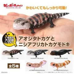 いきもの大図鑑レプティ　アオジタトカゲ(ノーマル)新品未開封