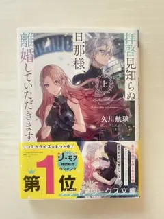 拝啓見知らぬ旦那様、離婚していただきます 上