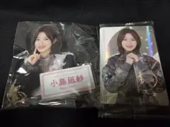 Item thumbnail for item 1c5fb342-ef85-4463-be23-99c495299295