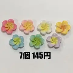 1セット◉ プルメリア ハイビスカス 花 ネイル デコパーツ ぬいスト ホイップ