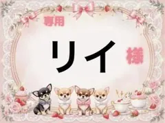 専用