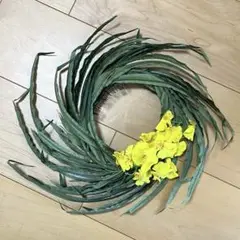 フラダンス 髪飾り 草冠 葉っぱ ハク 黄色 タヒチアンダンス フラ タヒチ