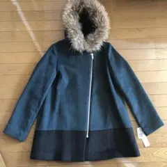 Item thumbnail for item f439ad31-c728-4d75-bb93-97cb886428f6