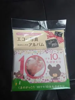 くまのがっこう　エコー写真アルバム　新品未開封