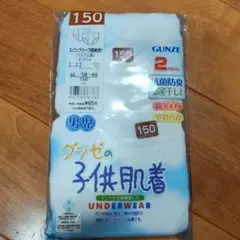 グンゼ150ブリーフパンツ（前あき）2枚組