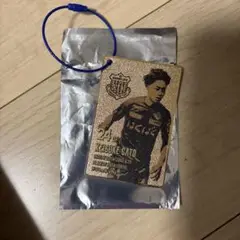 ヴァンフォーレ甲府　メタルカード　佐藤恵介