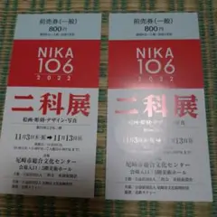 二科展 チケット 2枚