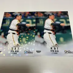 Item thumbnail for item 8bccf440-7b00-44fc-958d-5d8e1e731a08