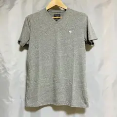Tシャツ　メンズ　Mサイズ　Abercrombie & Fitch　グレー