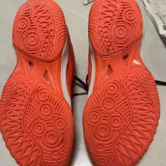 アシックス バレーボールシューズ