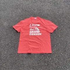 90's usa製 stedman プリント tシャツ vintage city