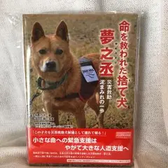 命を救われた捨て犬 夢之丞 災害救助 泥まみれの一歩