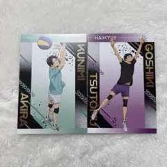 ハイキュー!! 擬似ユース アニメイト特典