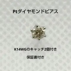 Item thumbnail for item 9d7232ed-23ea-4470-a6b2-8abe2967d7e1