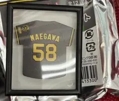 阪神タイガースB-LUCKシークレットユニホーム型マグネット前川右京選手