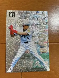 プロ野球 カルビーチップスカード 1999年スペシャルカード２４枚セット　レトロ