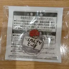 ヒプノシスマイク ちびぐるみポーズ！おなまえアクリルバッジvol.2 観音坂独歩