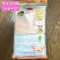 Item thumbnail for item c81b5643-b956-4d1d-823b-901664f6ba58