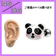 Item thumbnail for item f0bee7ac-3ff3-4b84-ba07-ca74fb32cfae