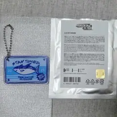 Item thumbnail for item 6cca7993-c45a-4185-b701-33e81adc63e3