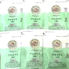【早い者勝ち】山田養蜂場 プロポリス300 詰替用 100球入×6袋