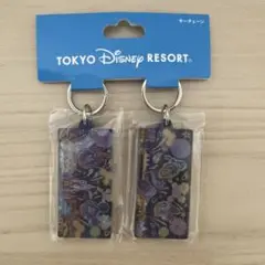 東京ディズニーリゾート キーホルダー 2個セット