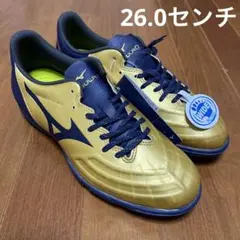 ミズノ サッカートレーニングシューズ