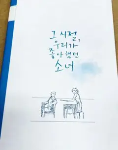 ★丁寧梱包★ 韓国 映画 あの夏、僕たちが好きだったソナへ 新品 パンフレット
