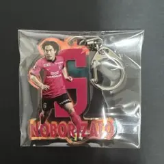 登里享平 セレッソ大阪