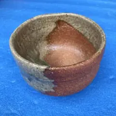 Item thumbnail for item 513112fe-66c2-47a5-8043-be52cc5e1905