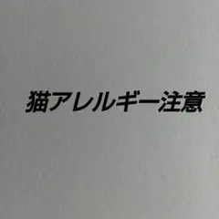 Nintendo Switch ケース 黒/ピンク
