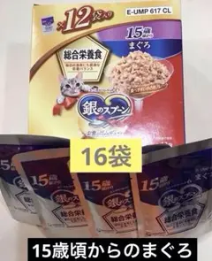 Item thumbnail for item 2861e503-a51d-4fb7-a745-7709cd8f6889