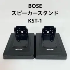 BOSE WER55 マッドブラック塗装 BOSE WER55 マッドブラック塗装 BOSE Acoustic Waveguide