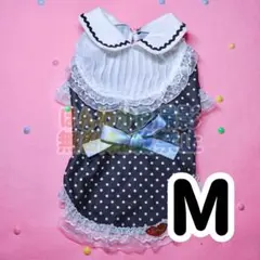 Item thumbnail for item 074cf549-029d-4fb1-aa86-871e4c85d130
