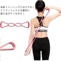 レジスタンスバンド 筋トレ トレーニングチューブ トレーニングバンド ダイエット
