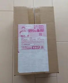 【新品未開封】ポケモン カードゲーム スペシャルBOX ポケモンセンタートウホク