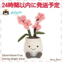 JELLY CAT - 新作　新品　ジェリーキャット　花　蘭　胡蝶蘭　ラン　観葉植物　ぬいぐるみ 2025年最新】jelly cat 花の人気アイテム - メルカリ