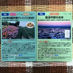 水の恵みカード 砺波平野のお米 となみ野の園芸作物